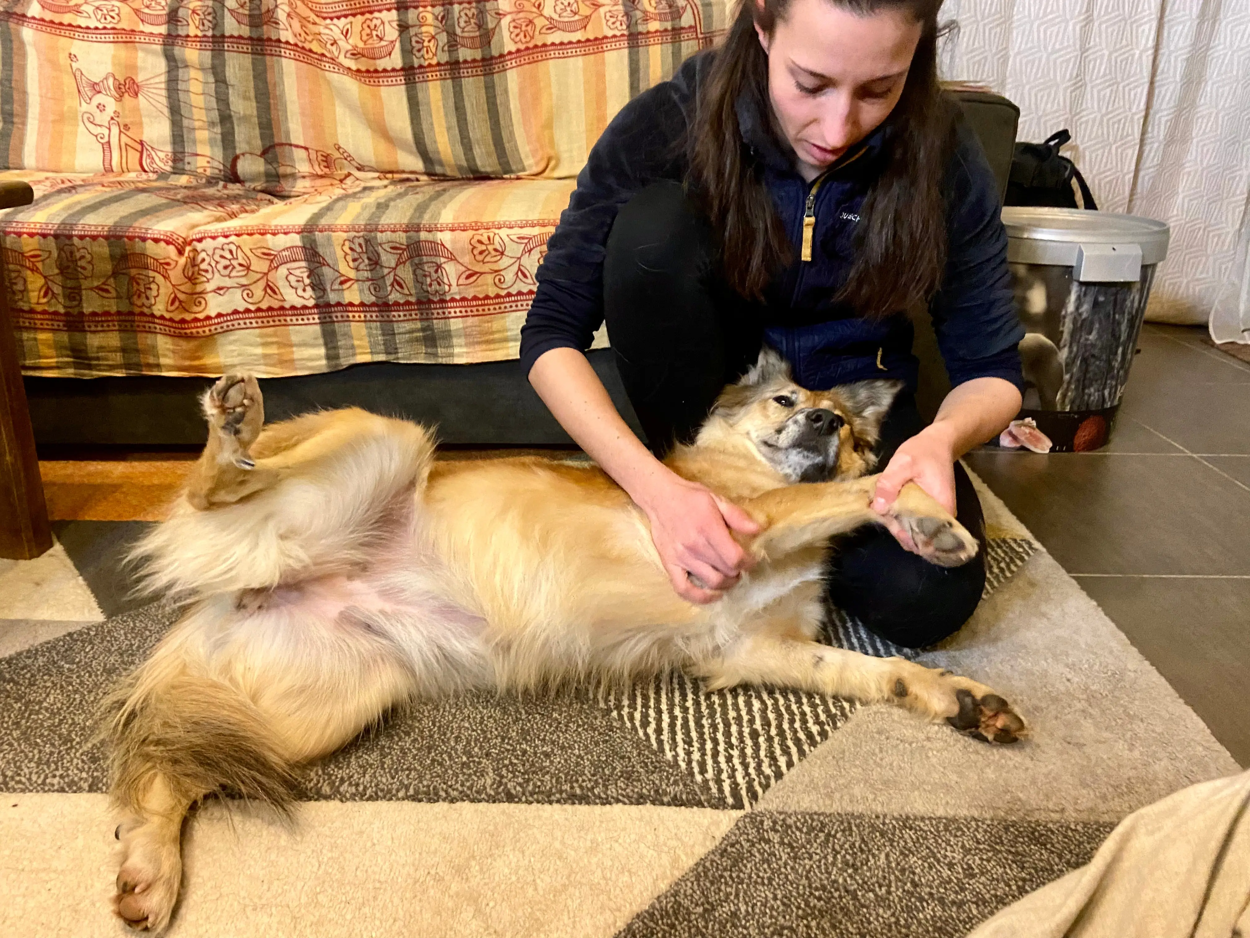 Léa Kormas traitant les pattes d'un chien